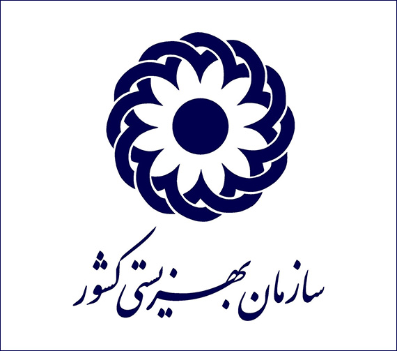 داستان موفقیت سازمان بهزیستی کشور